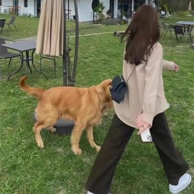 救世者